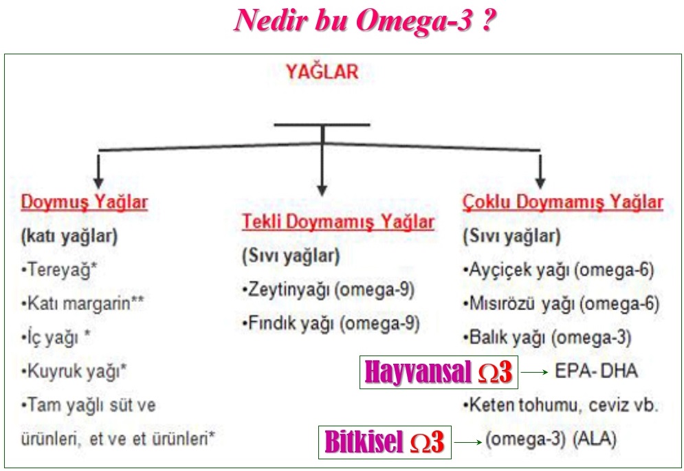 Omega 3 Neden Bu Kadar Önemli-Yağların sınıflandırılması